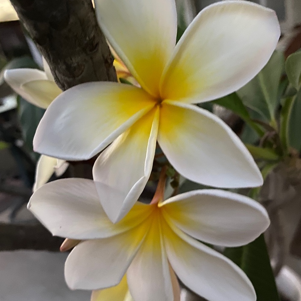 Meet your Posher, Cathy